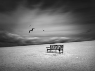 The empty bench