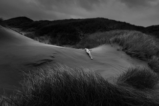 Sensual Landscape Sensual Landscape