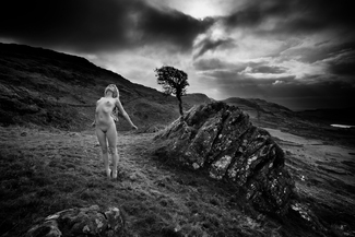 The Revelation The Revelation