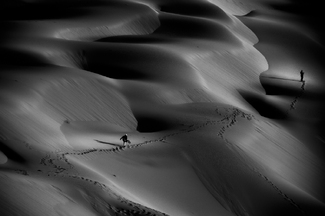 Desert Adventurer Desert Adventurer