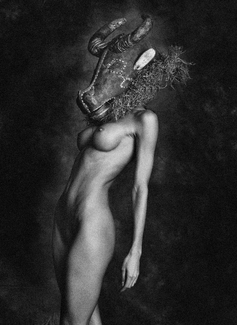 El Taureau El Taureau