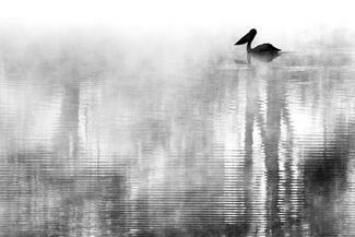 Early Morning Murray Early Morning Murray