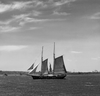 Between the Sails