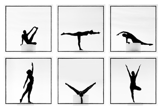 Body Shapes Body Shapes