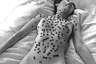 Flies, People Flies, People