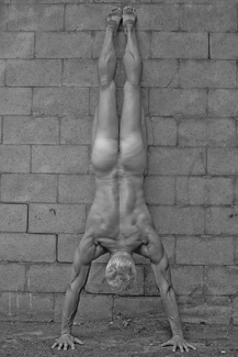 Upside Down Cakes Upside Down Cakes