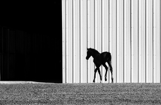 Going Away Home Going Away Home