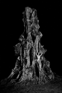 Woman and tree Woman and tree