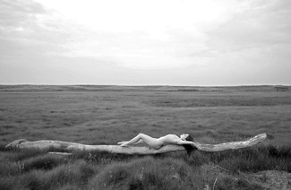 Fallen Giant Fallen Giant