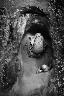 Incubation Incubation