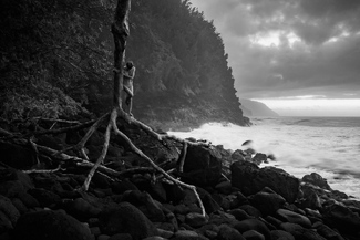 Rough Seas Rough Seas