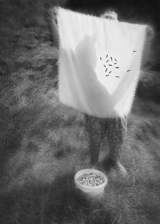 Tingling Soul Tingling Soul