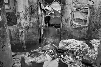 My Flooded Home My Flooded Home