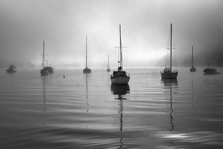 Picton harbour Picton harbour