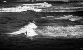 The Surfer The Surfer