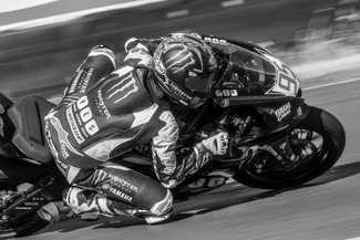 JIggy Dog at Speed JIggy Dog at Speed