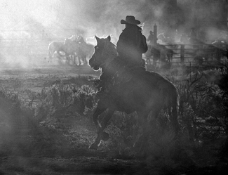 Dawn Gather Dawn Gather