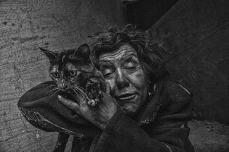 Homeless cat lover Homeless cat lover