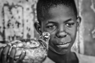 Boy and Bird Boy and Bird