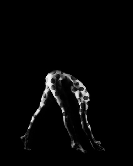 Spotted Walker Spotted Walker