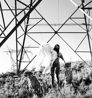 (Un)Domesticated (Un)Domesticated