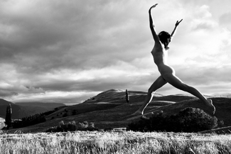 Dawn Flight Dawn Flight