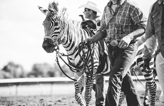 The Cowboys and Their Prize The Cowboys and Their Prize
