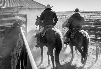 Walking Them In Walking Them In