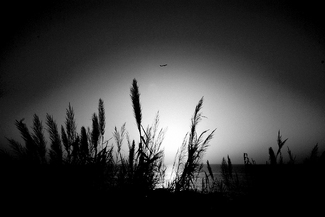 Bon Voyage Bon Voyage