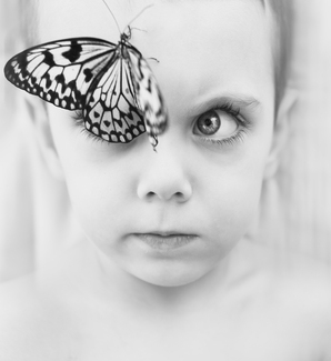 Untitled (2) Untitled (2)