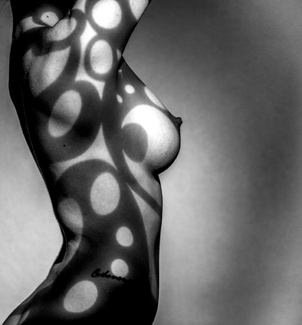 Study in Curves Study in Curves