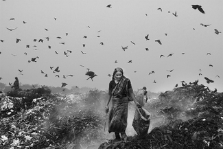 Live on Rubbish Live on Rubbish