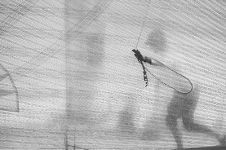 Bowman in Silhouette Bowman in Silhouette