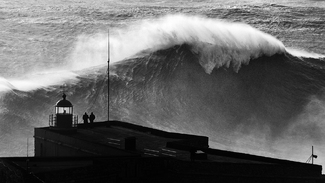 Untitled (8) Untitled (8)