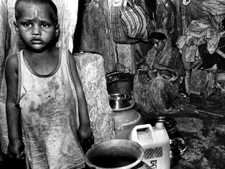 Calcutta Boy Calcutta Boy