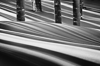 Winter Shadows Winter Shadows