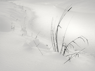 Frozen