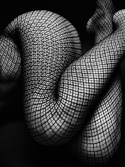 legs 