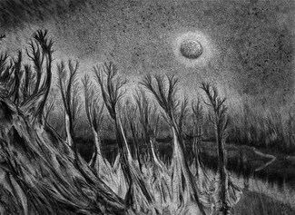 Forest in Moonlight