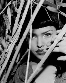 Through the Bamboo LV