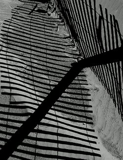 Fence