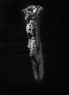 Diver