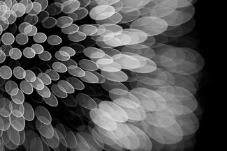 Winter Lights (9569)