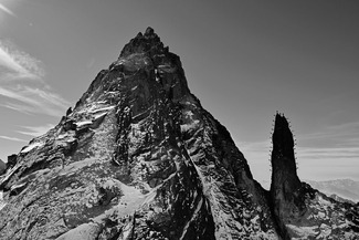 Alpine Cactus formed by Climbers