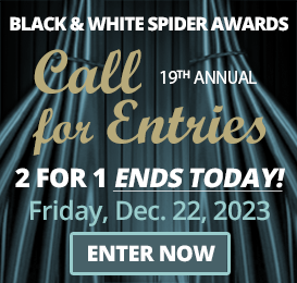 Black & White Spider Awards™ | International Photography Competition ...